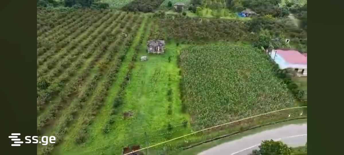 Land For Sale. Zugdidi view 3