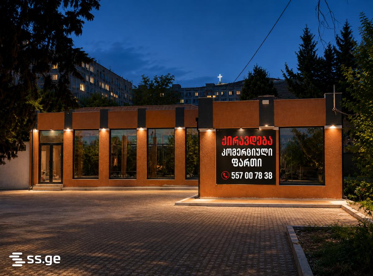Commercial Space For Rent. Rustavi view 2