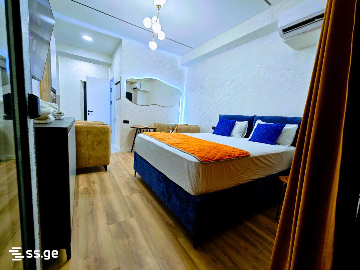 1 Room Flat Daily Rent. Nadzaladevi view 8