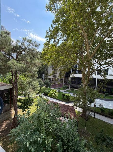 https://static.ss.ge/20260820/17_fa14bbe6-fe6e-4ba5-90a7-7c7d937cdc49_Thumb.jpg