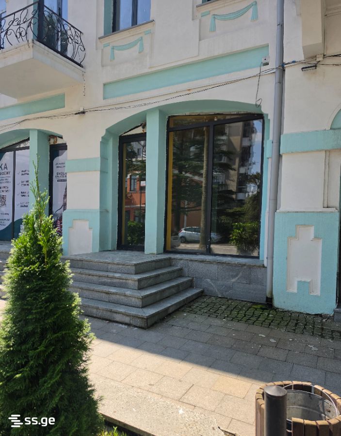 Commercial Space For Rent. Poti view 8