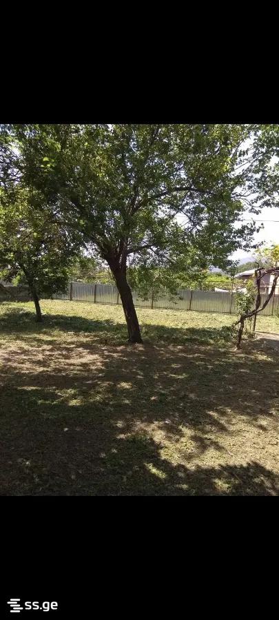 6 Room Private House For Sale view 4