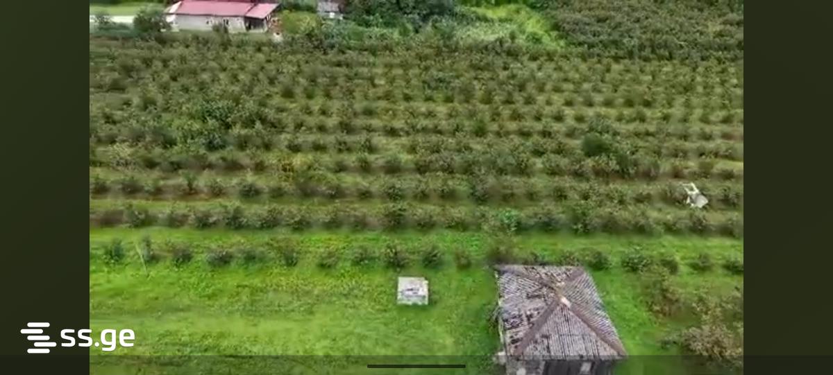 Land For Sale. Zugdidi view 1