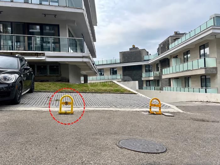 https://static.ss.ge/20260820/2_c49fe0f3-2139-4899-b7d7-1077baf23e2f_Thumb.jpg