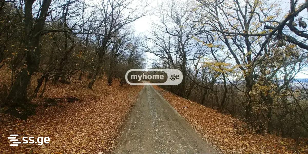 6 Room Summer Cottage For Sale view 20