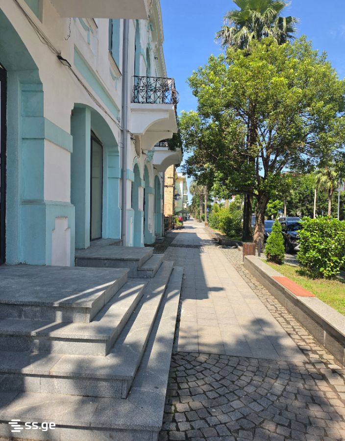Commercial Space For Rent. Poti view 1