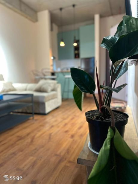 https://static.ss.ge/20260820/7_2dac7f64-2075-48d6-a68e-3fbff58426db_Thumb.jpg