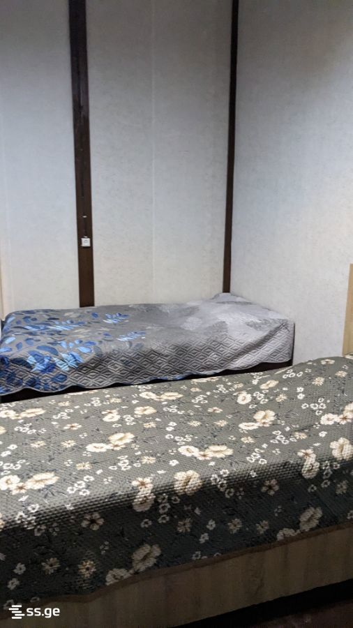 4 Room Private House Daily Rent. Grigoleti view 2