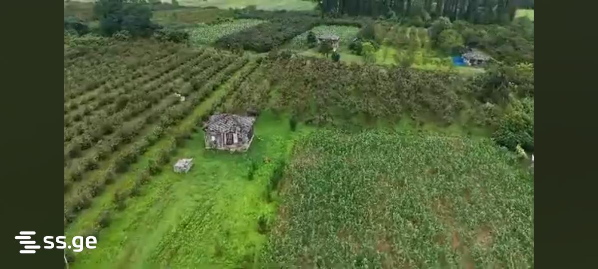 Land For Sale. Zugdidi view 4