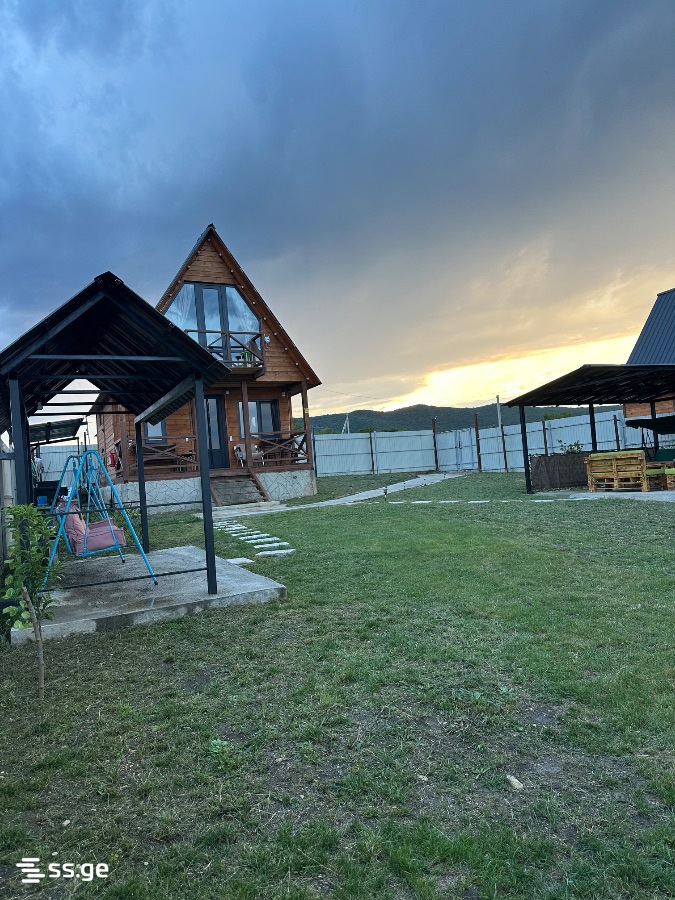 2 Room Summer Cottage Daily Rent. Bazaleti view 11