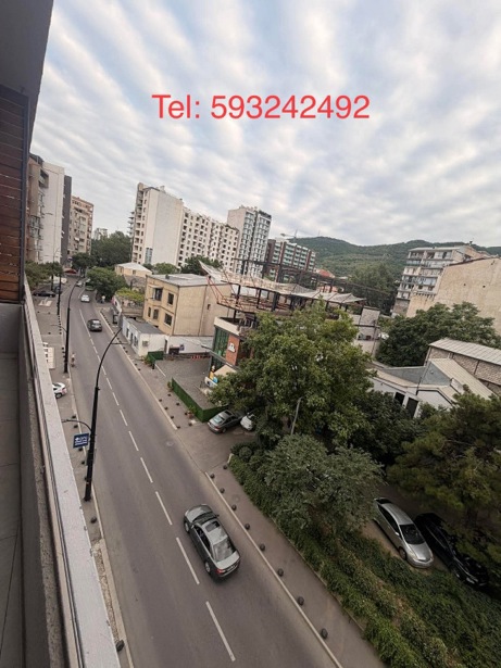 https://static.ss.ge/20260820/8_127f2c7c-8efb-40a5-af31-aa15972fdfee_Thumb.jpg