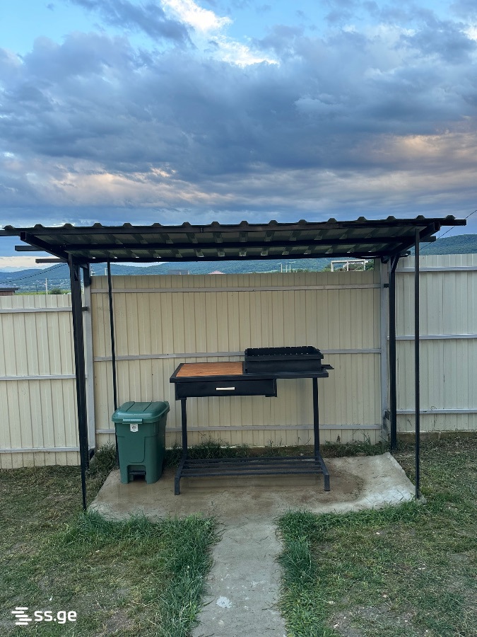 2 Room Summer Cottage Daily Rent. Bazaleti view 7