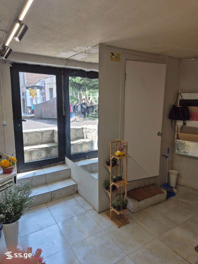 Commercial Real Estate For Sale. Mtatsminda view 3