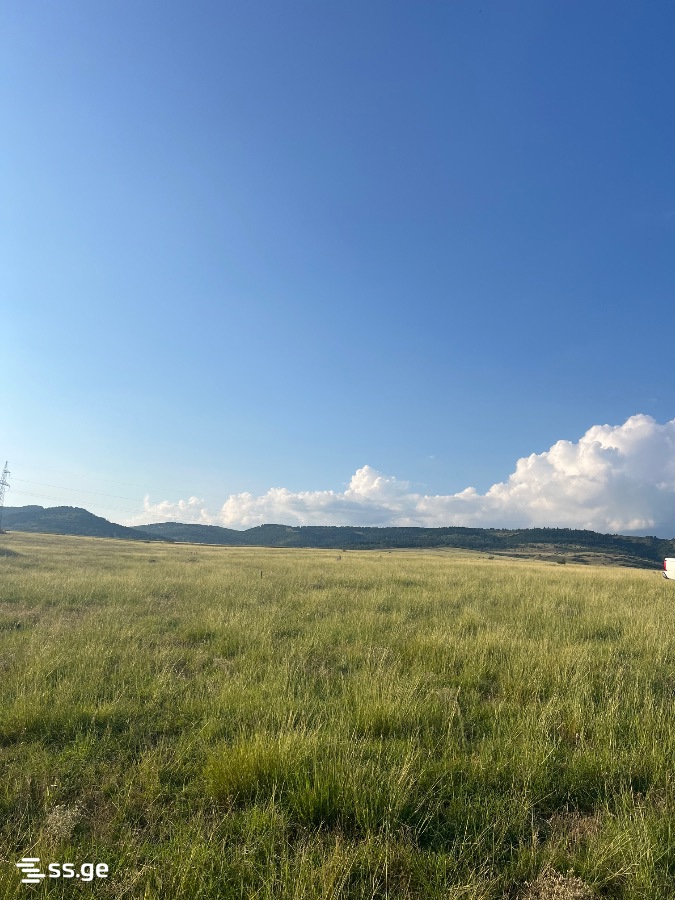 Land For Sale. Didi Lilo view 1
