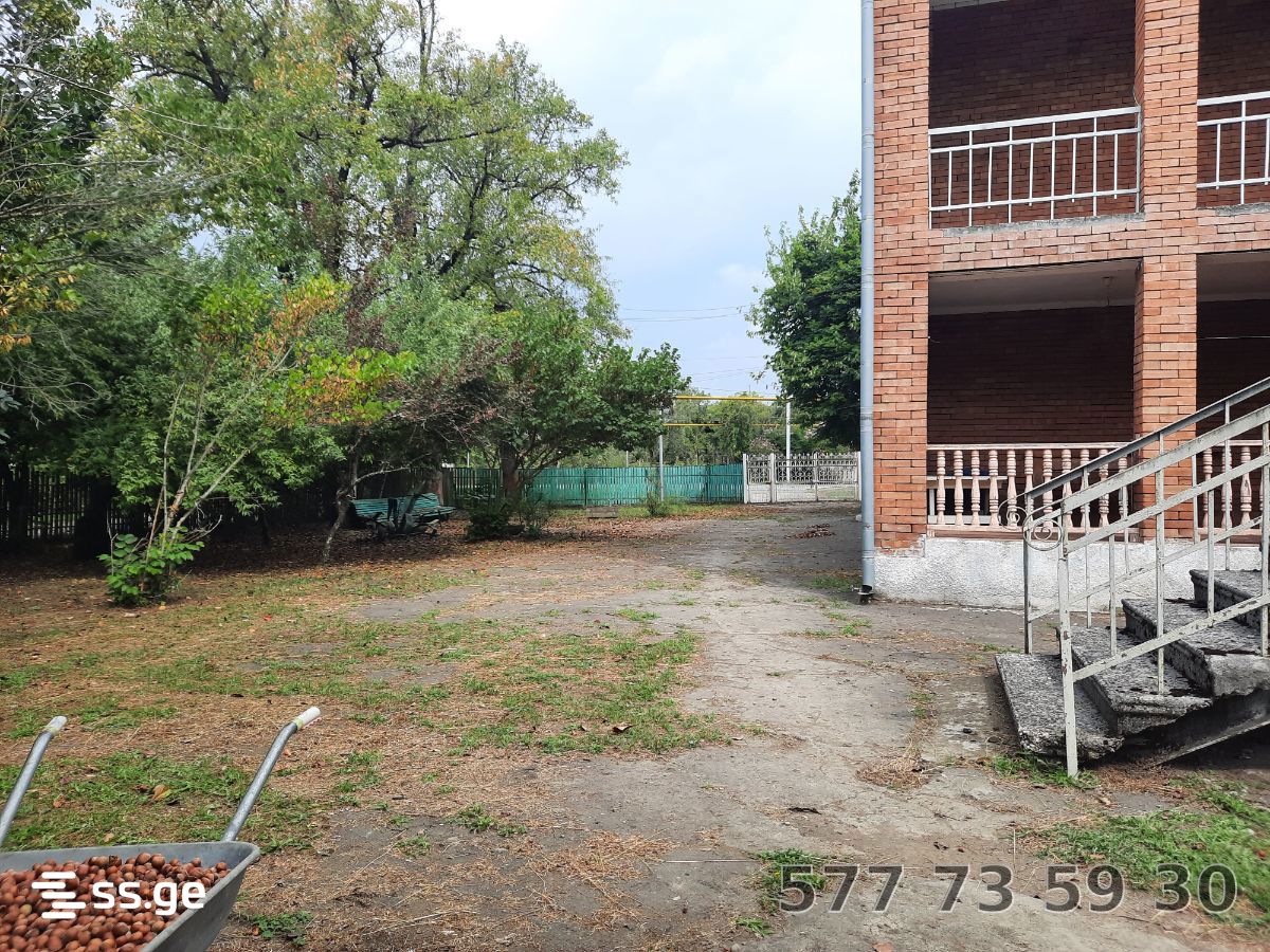 7 Room Private House For Rent. Samtredia view 12