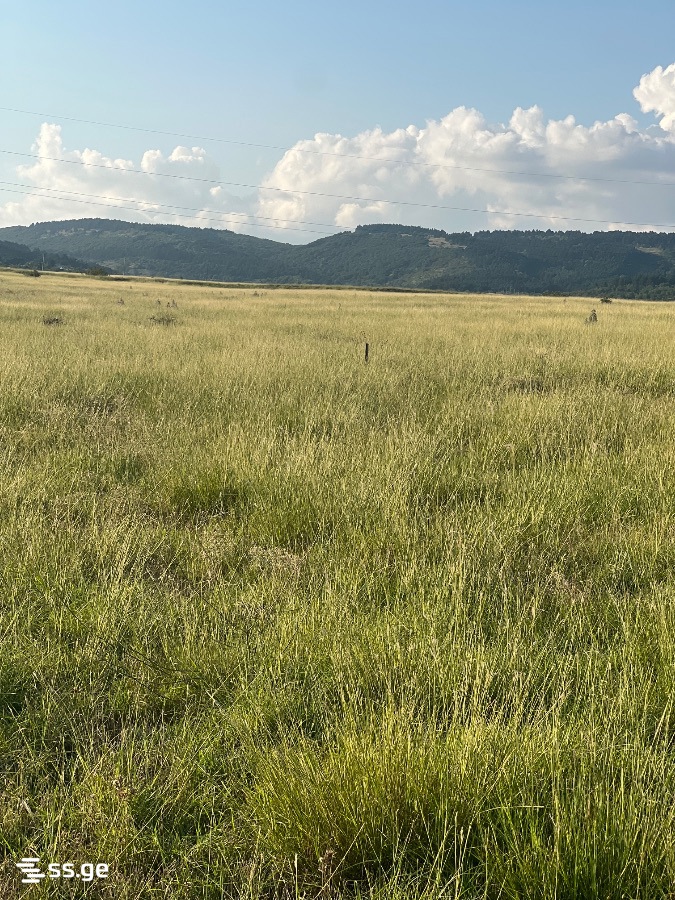 Land For Sale. Didi Lilo view 11