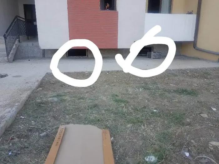 https://static.ss.ge/20260821/12_038dc9f9-3d60-457e-ac2e-eb4c4c283070_Thumb.jpg