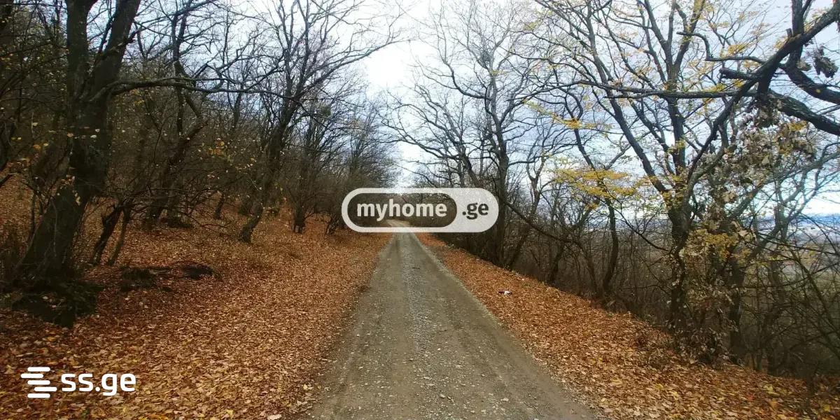 6 Room Summer Cottage For Sale view 29