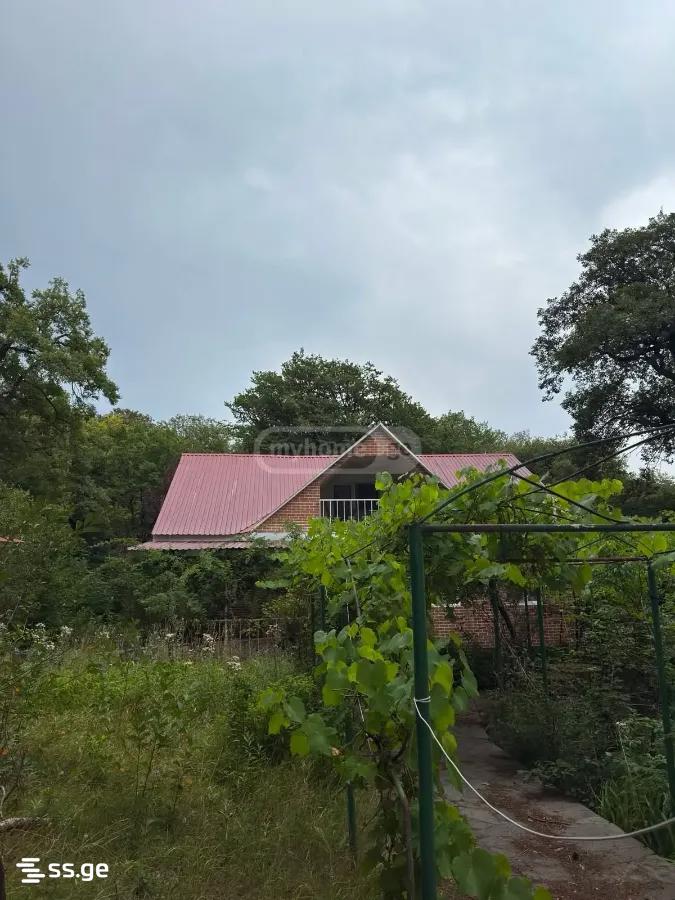 Summer Cottage For Rent. Kiketi view 1