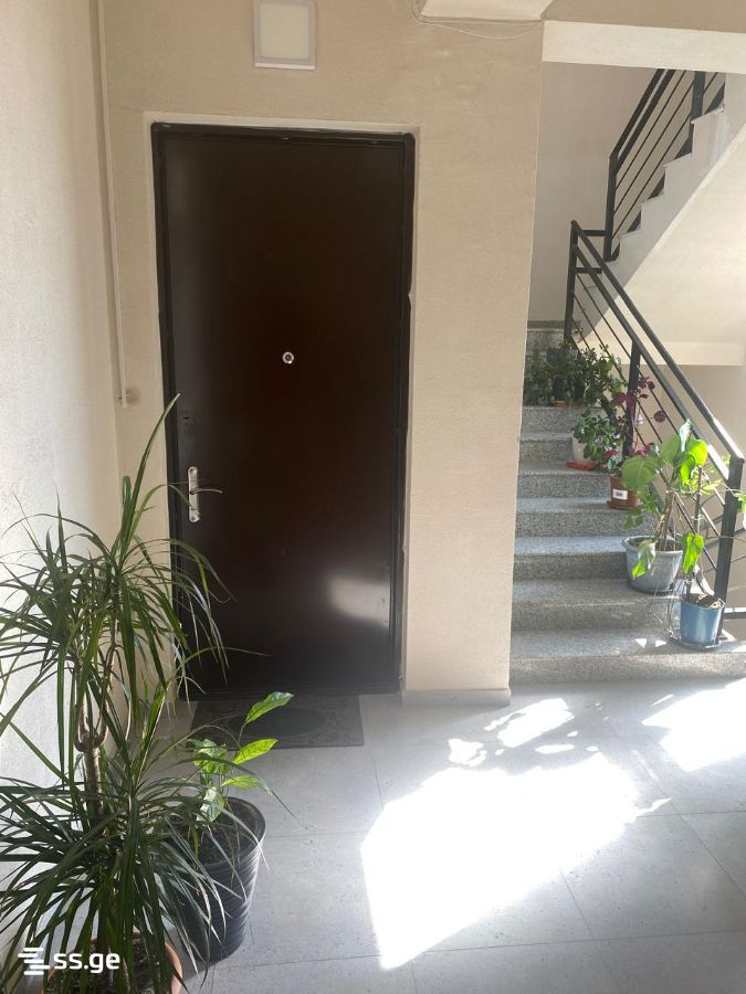 2 Room Flat For Rent. Kutaisi view 9
