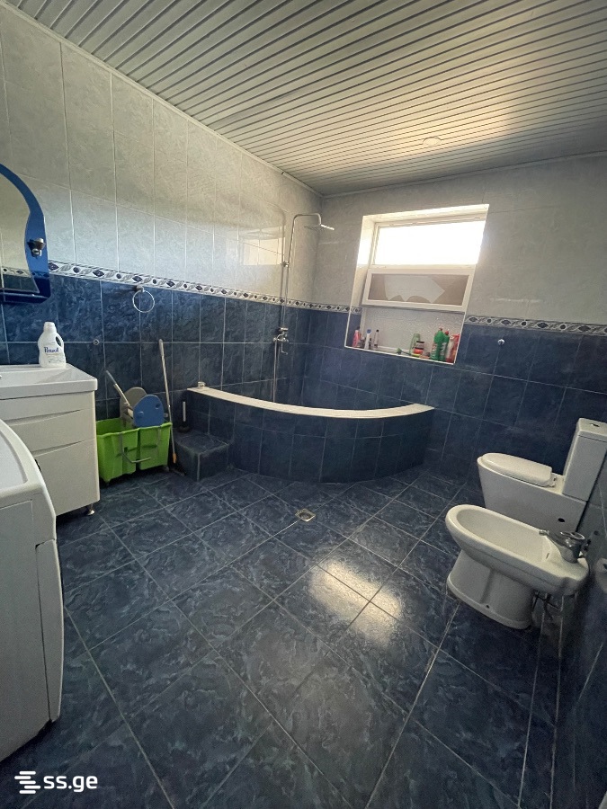 Private House For Rent. Kutaisi view 9