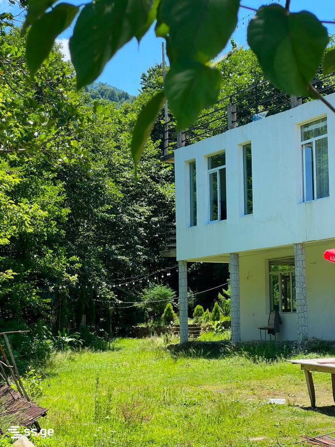 6 Room Private House Daily Rent. Batumi view 5