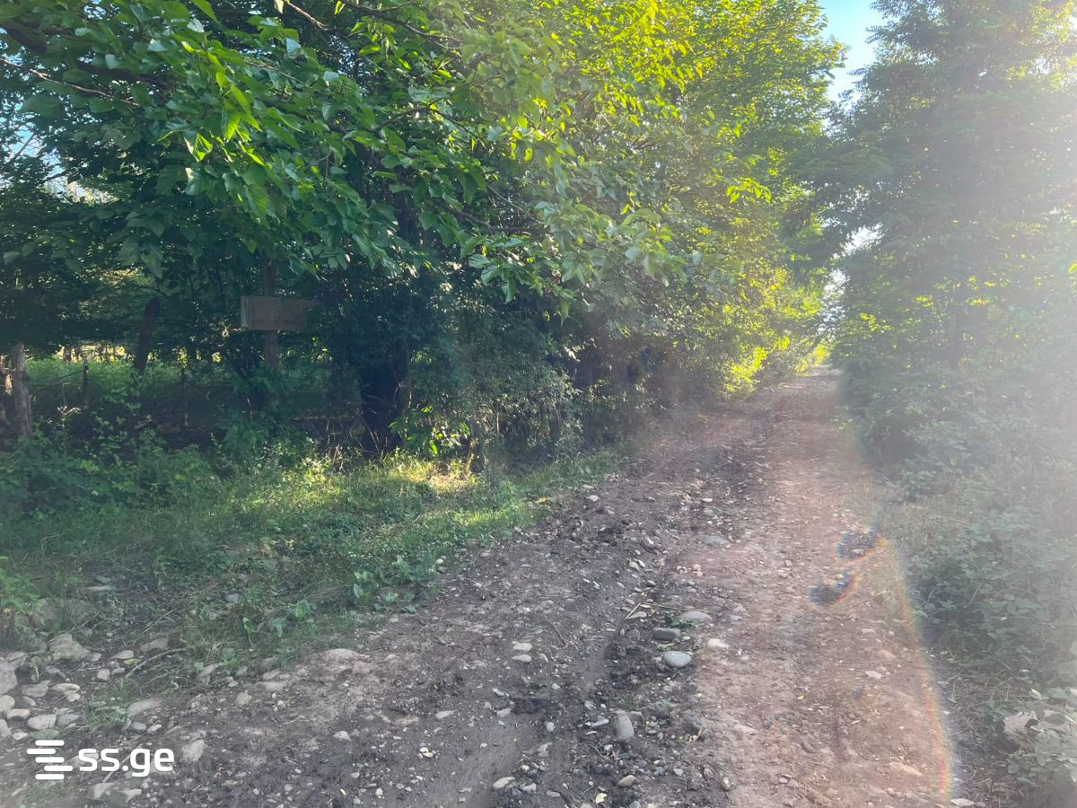 Land For Sale. Misaktsieli view 2