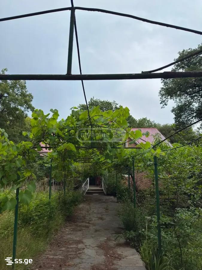 Summer Cottage For Rent. Kiketi view 2