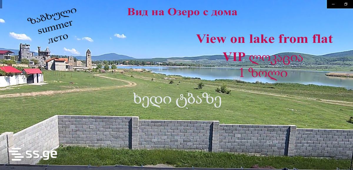 7 Room Private House For Rent. Bazaleti view 13