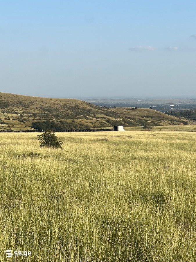 Land For Sale. Didi Lilo view 10
