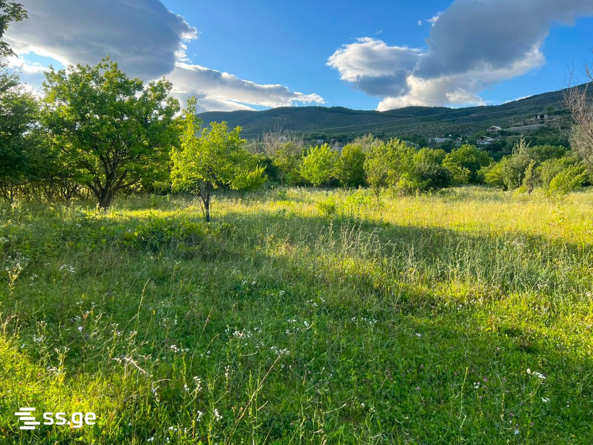 Land For Sale. Misaktsieli view 1