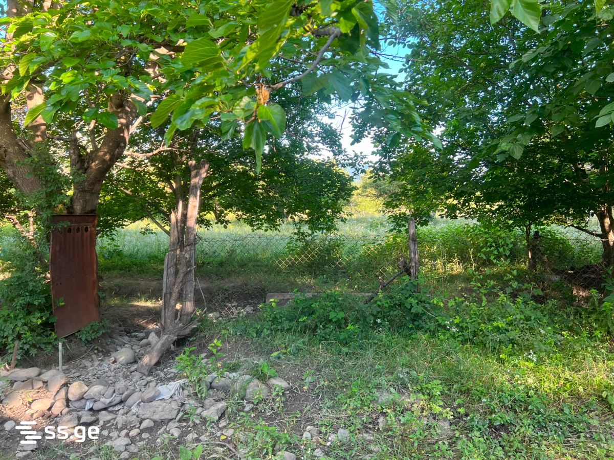 Land For Sale. Misaktsieli view 3