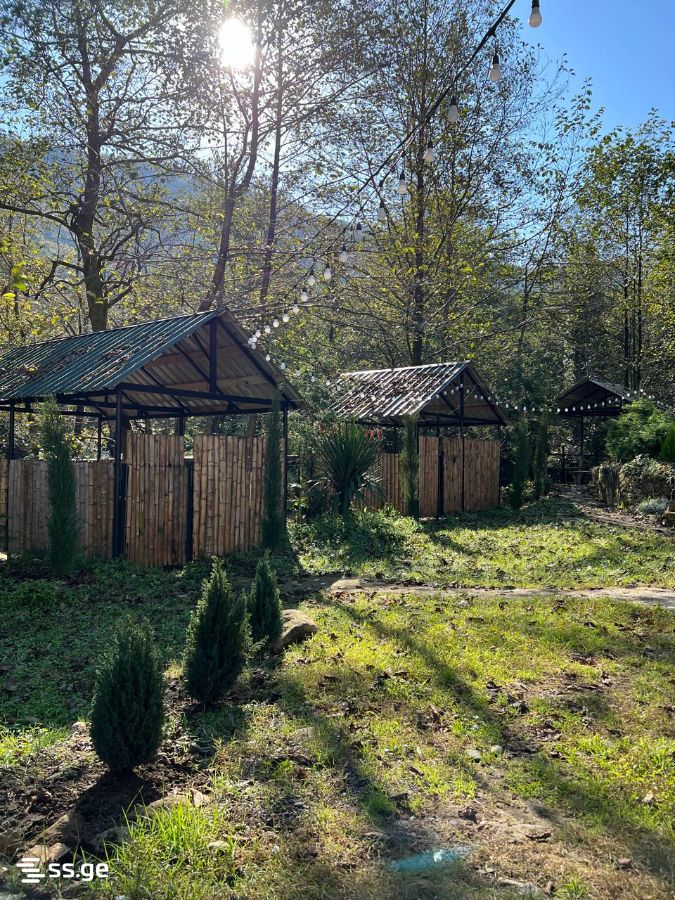6 Room Private House Daily Rent. Batumi view 9
