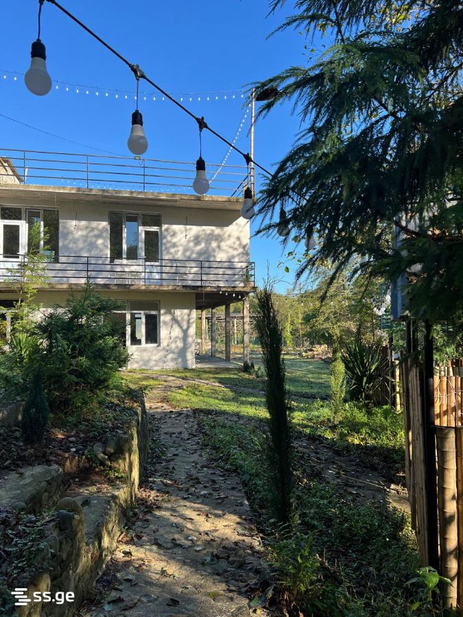 6 Room Private House Daily Rent. Batumi view 15