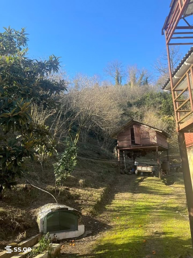 7 Room Summer Cottage For Sale view 3