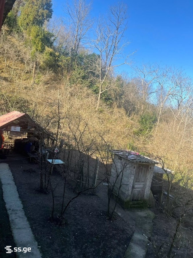 7 Room Summer Cottage For Sale view 4