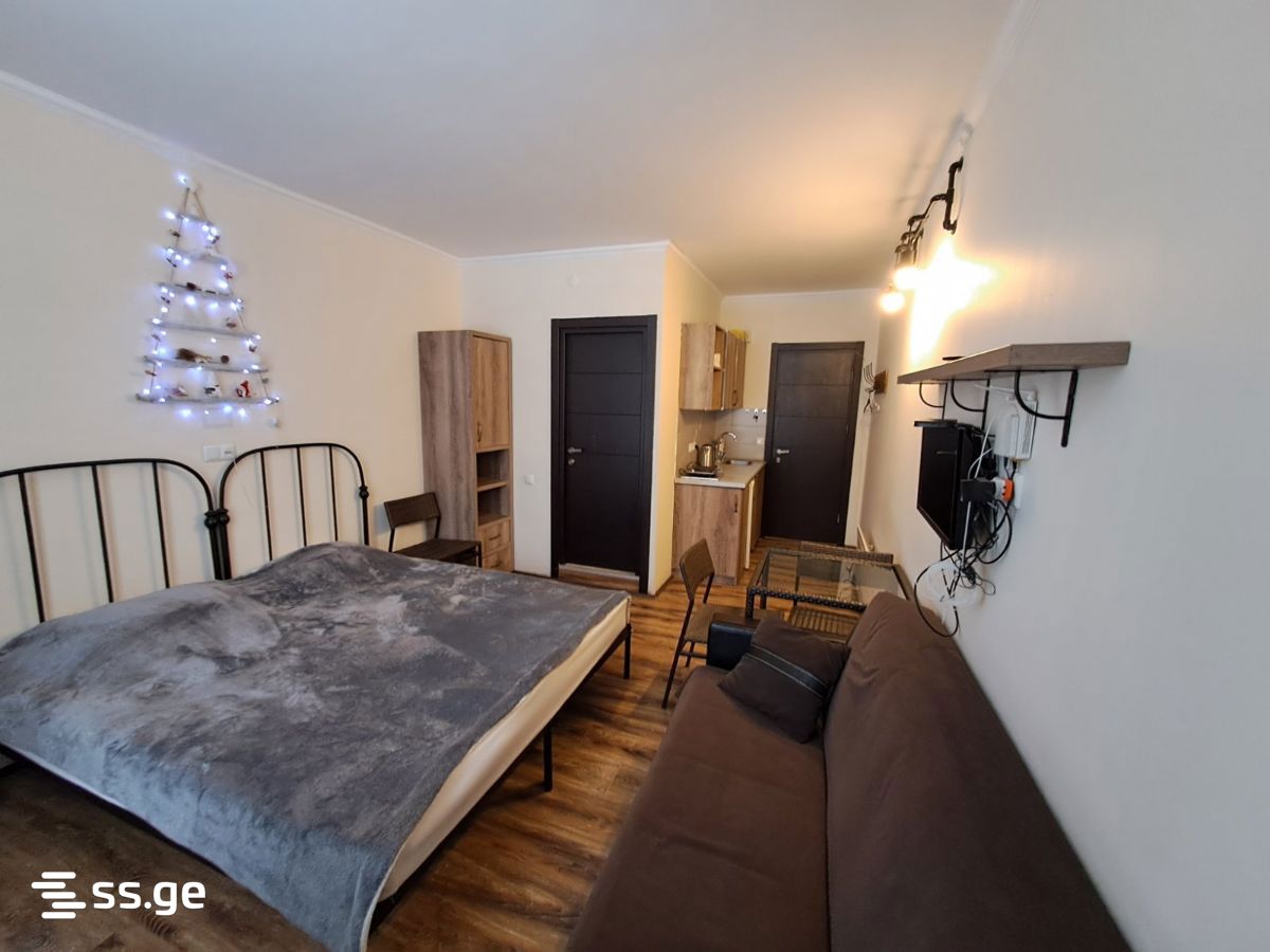 1 Room Flat For Rent. Bakuriani view 3