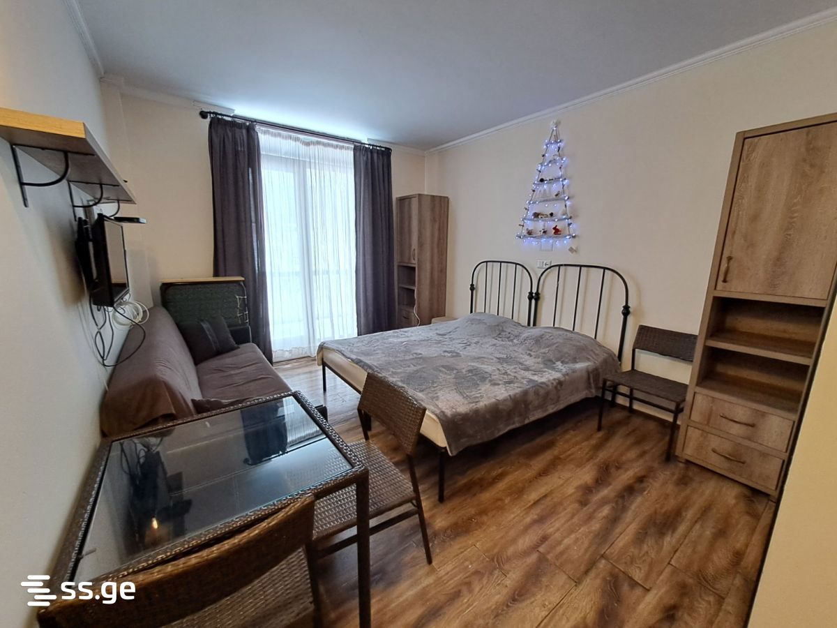 1 Room Flat For Rent. Bakuriani view 2
