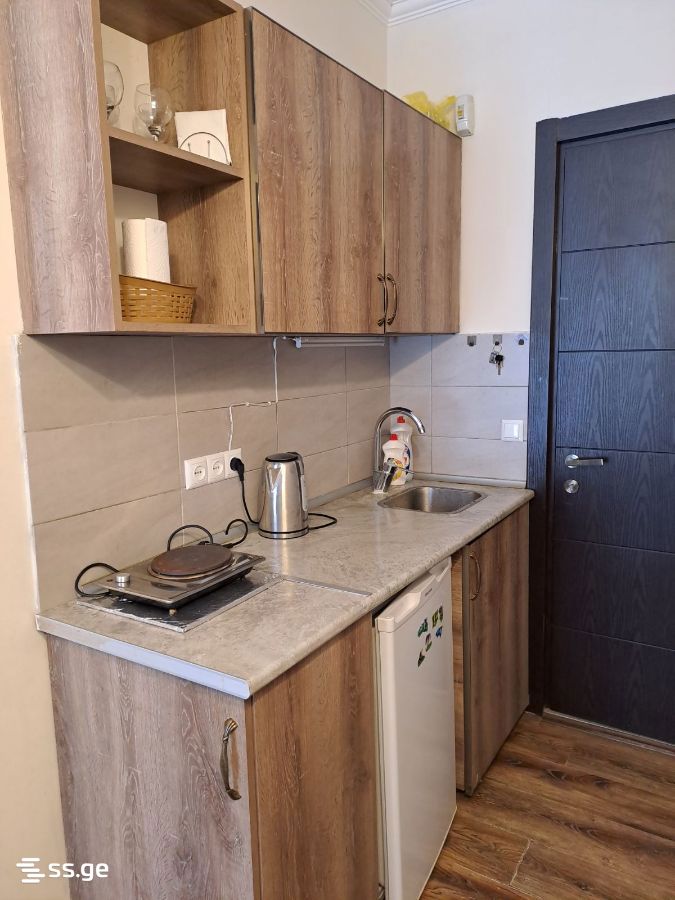 1 Room Flat For Rent. Bakuriani view 1