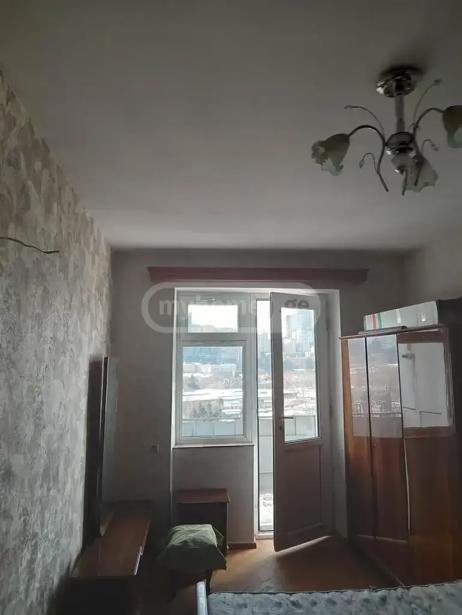 https://static.ss.ge/20260822/7_cc120469-e6c4-48cc-b1c0-11062fcdef43_Thumb.jpg