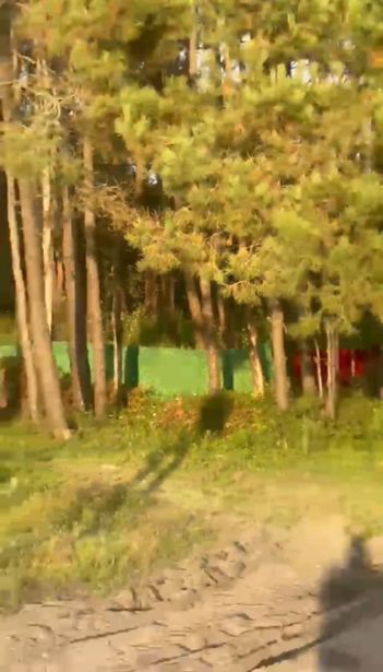 https://static.ss.ge/20260822/9_c80be027-6424-48a7-a74f-26847e710d20_Thumb.jpg