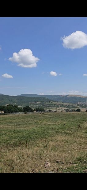 https://static.ss.ge/20260823/11_c3813250-f466-408f-b762-80db1f40bda0_Thumb.jpg