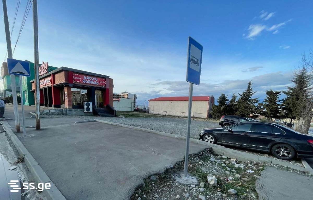 Land For Rent. Telavi view 1