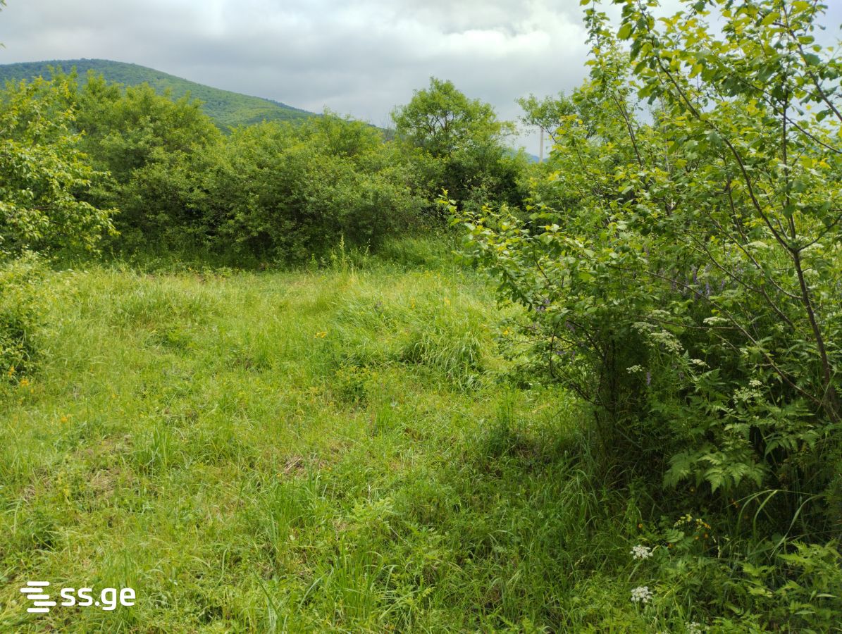 2 Room Summer Cottage For Sale view 1