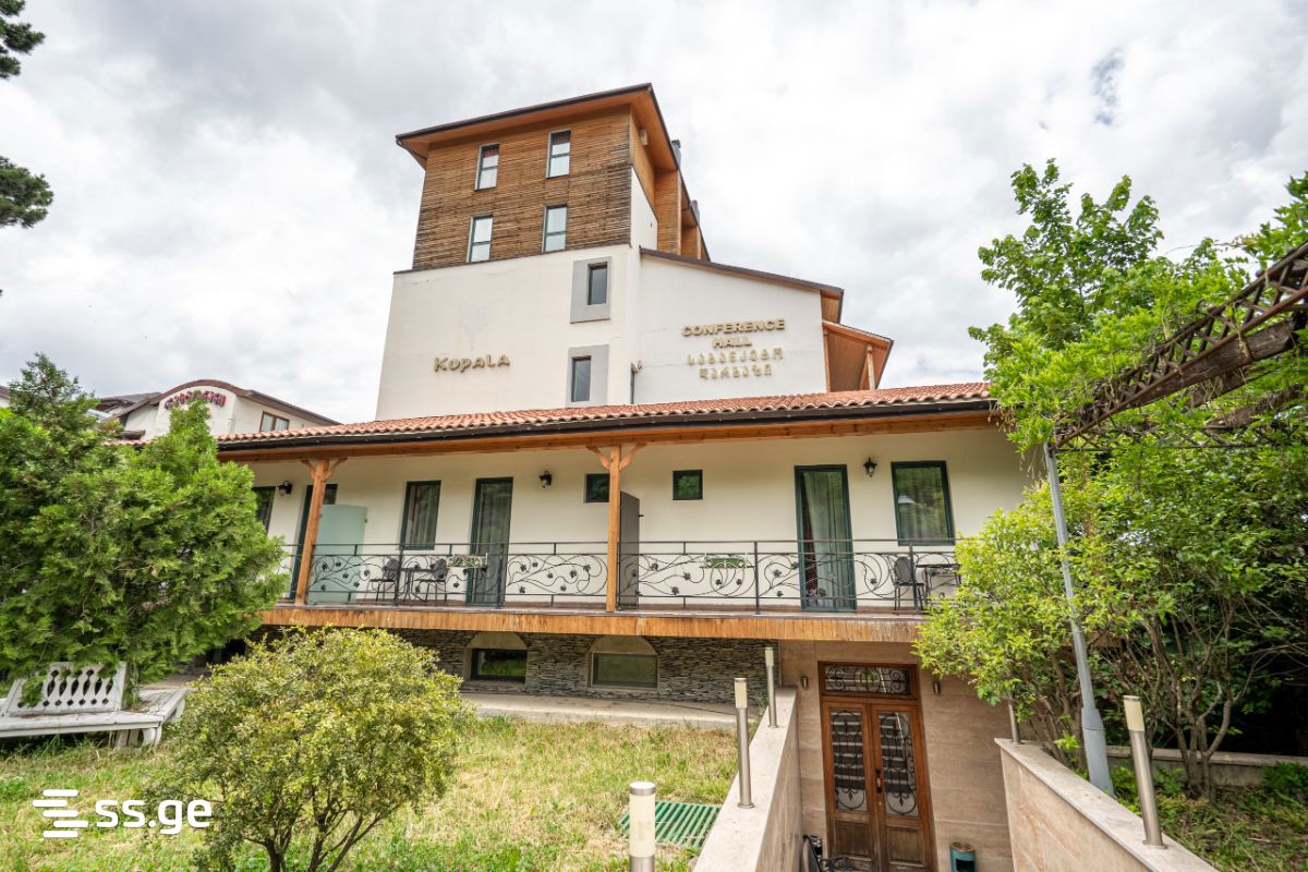 Hotel For Rent. Tskneti view 1