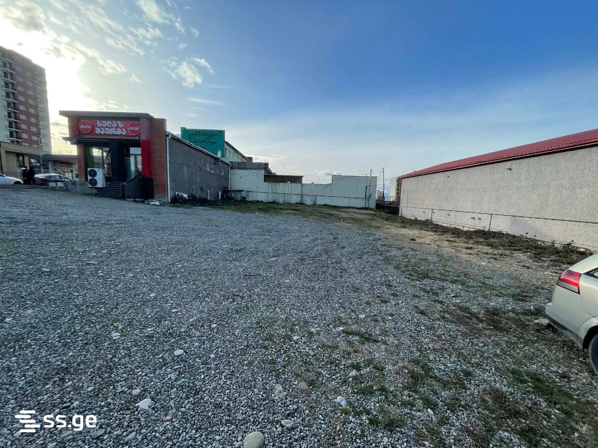 Land For Rent. Telavi view 5