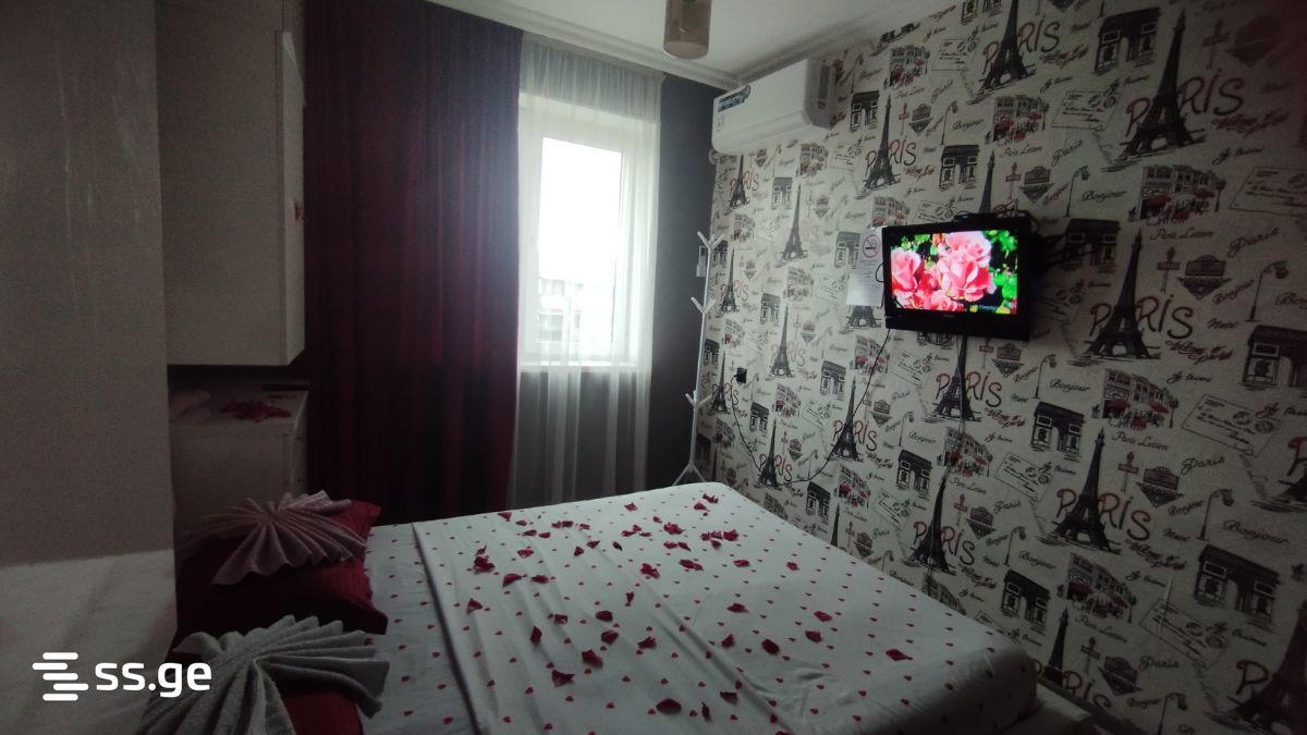 2 Room Flat Daily Rent. Rustavi view 2