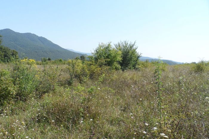 https://static.ss.ge/20260823/18_d026283e-fbce-4643-941f-32ee9734454e_Thumb.jpg
