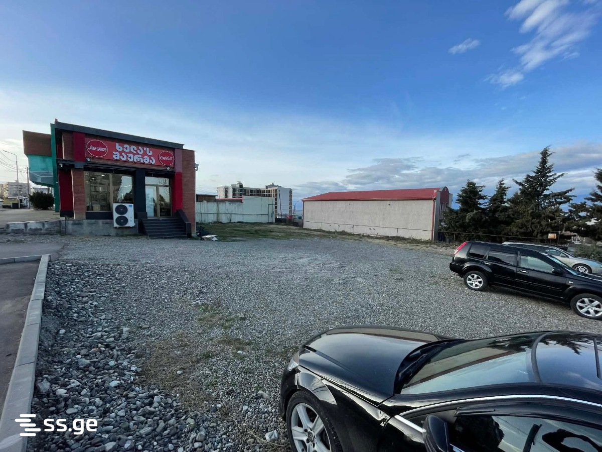 Land For Rent. Telavi view 2