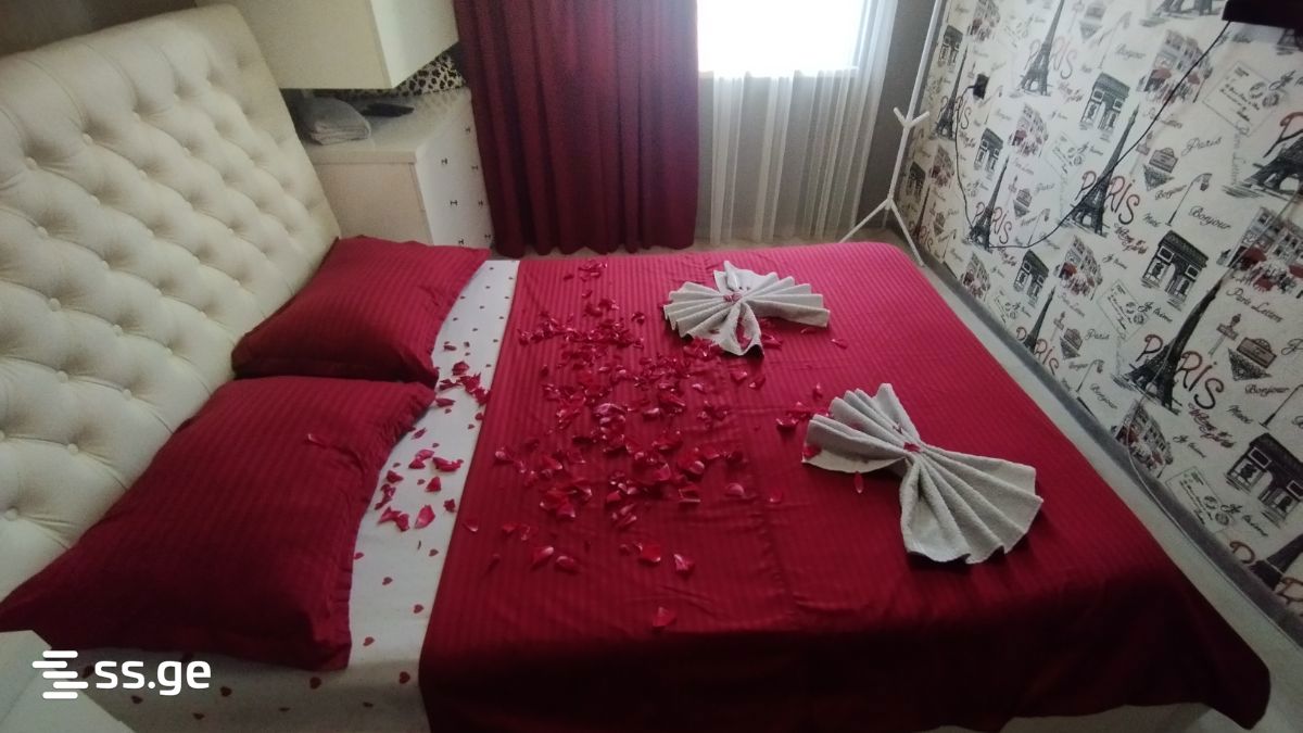 2 Room Flat Daily Rent. Rustavi view 1